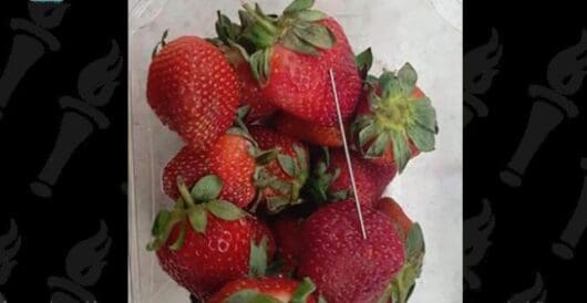 Berries become more affordable, despite growing demand from kids by Hans Bader