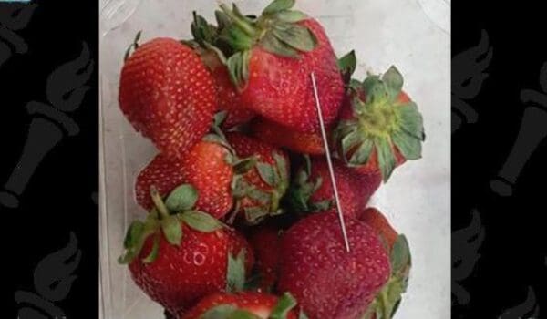 Berries become more affordable, despite growing demand from kids by Hans Bader