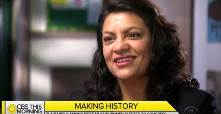 Rep. Rashida Tlaib follows Instagram account that brands Jews as rats, vampires, Nazis