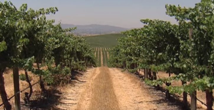 Harvard is buying up groundwater rights in California’s Central Coast wine region