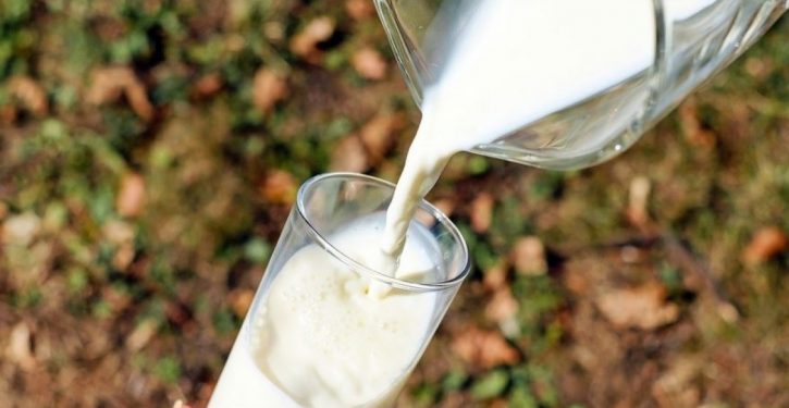 Penna. family dairy farm fights food-chain breakdown by bottling own milk. Public laps it up