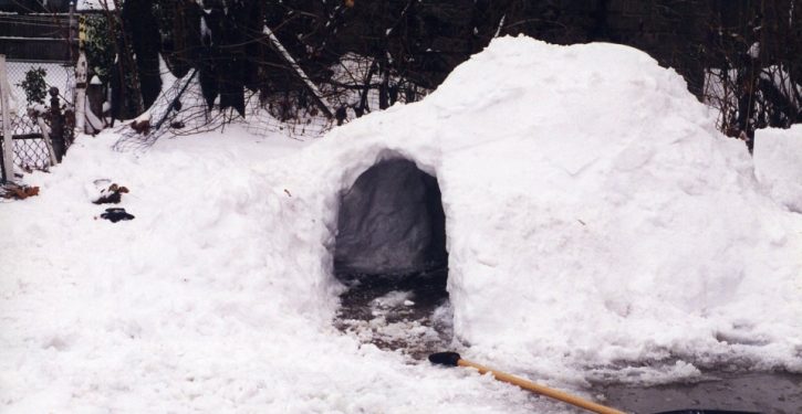 Girl, 12, dies after snow fort collapses on her and friend in suburban Chicago