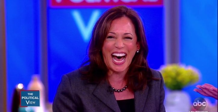 Kamala Harris’s latest: Let’s seize the guns of ‘white nationalists’