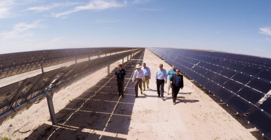 Blue State Primed To Clear Cut Hundreds Of Acres Of Forest To Make Way For Solar Panels by Daily Caller News Foundation