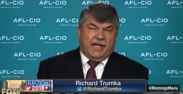 AFL-CIO says Green New Deal would ’cause immediate harm to millions’