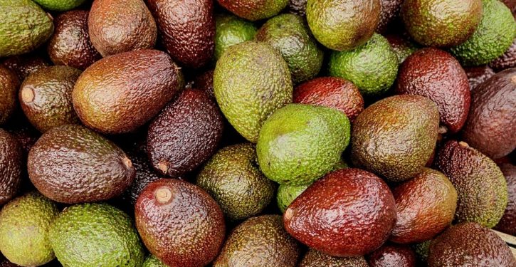 Grim warning: U.S. would run out of avocados in 3 weeks if border closed