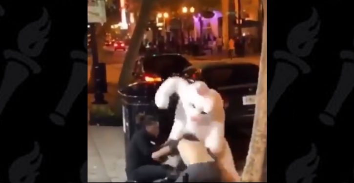 Vigilante Easter bunny goes viral – turns out to be wanted in N.J., with a 3-state rap sheet