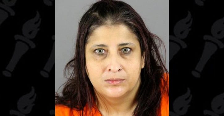 Wisconsin mom of 7 pleads to aiding ISIS terror plots; poisoning water supply, bomb how-tos