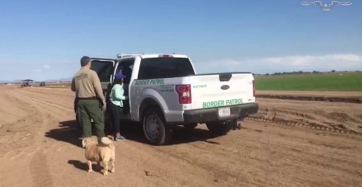 Illegal aliens brazenly walk right past group of congressmen as they cross the border
