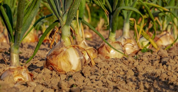 Wash. State gov. Jay Inslee signs bill into law legalizing human composting