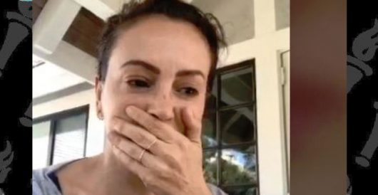 Alyssa Milano’s face mask reveals everything you need to know about the Left by LU Staff