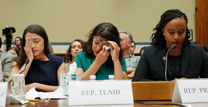 Tlaib compares Israel to Nazi Germany in House speech on BDS resolution