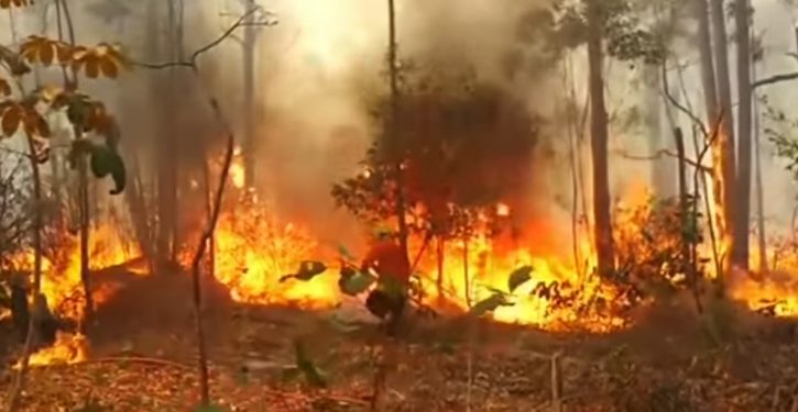 Thirty years later, eerie similarities in NYT coverage of fires in the Amazon