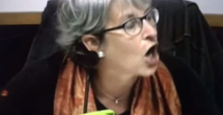 Progressive city official snaps at diversity meeting: ‘You stop it, you are a white male!’