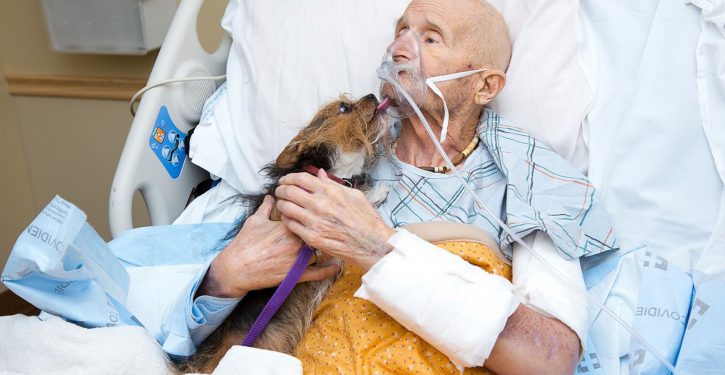 Vietnam Marine veteran in N.M. hospice care reunites with beloved dog one last time