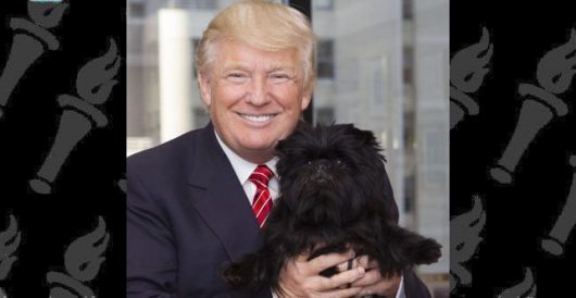 Trump Says He’ll Allow 600,000 Chinese Students To Study In US by Daily Caller News Foundation