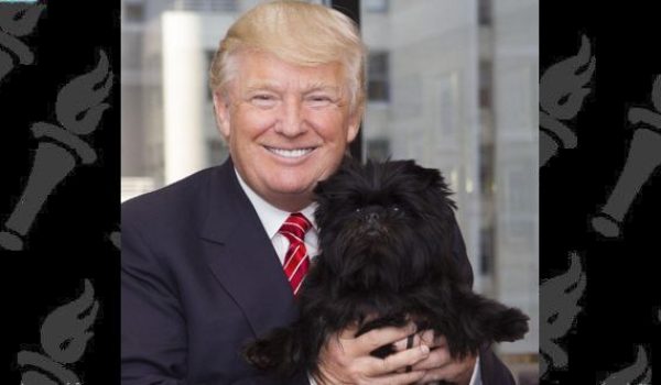 Trump Says He’ll Allow 600,000 Chinese Students To Study In US by Daily Caller News Foundation
