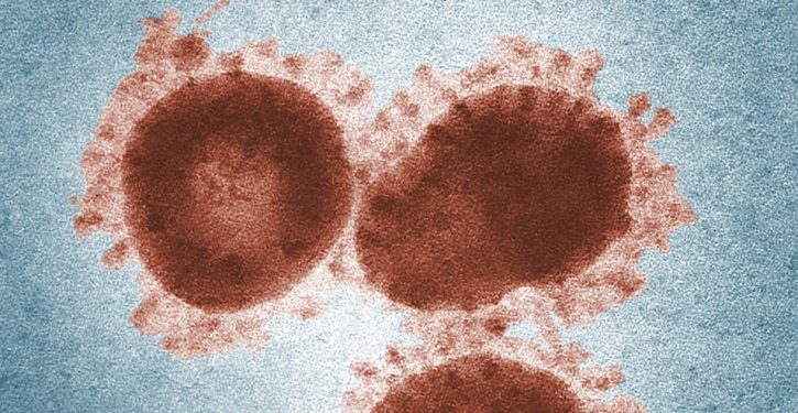 Bombshell UK report: Coronavirus began months earlier and not in Wuhan