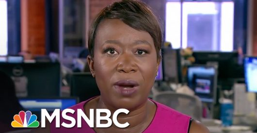 MSNBC’s Joy Reid just figured out gov’t has no money of its own by LU Staff