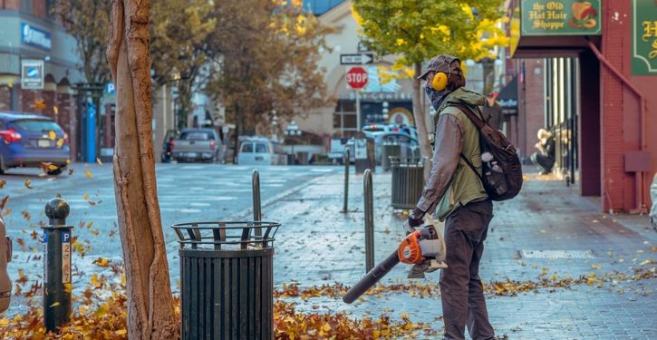 California eyes ban on gas-powered gardening tools
