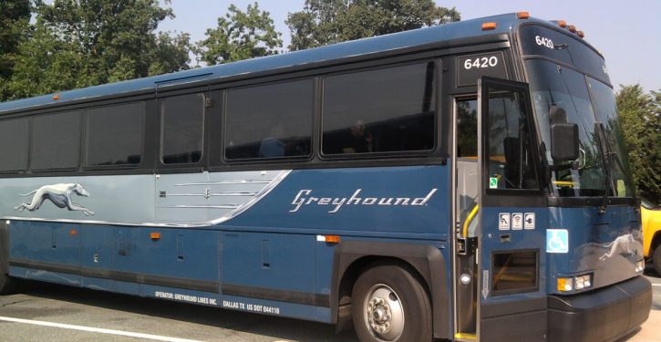 Greyhound will stop allowing CBP immigration checks on buses