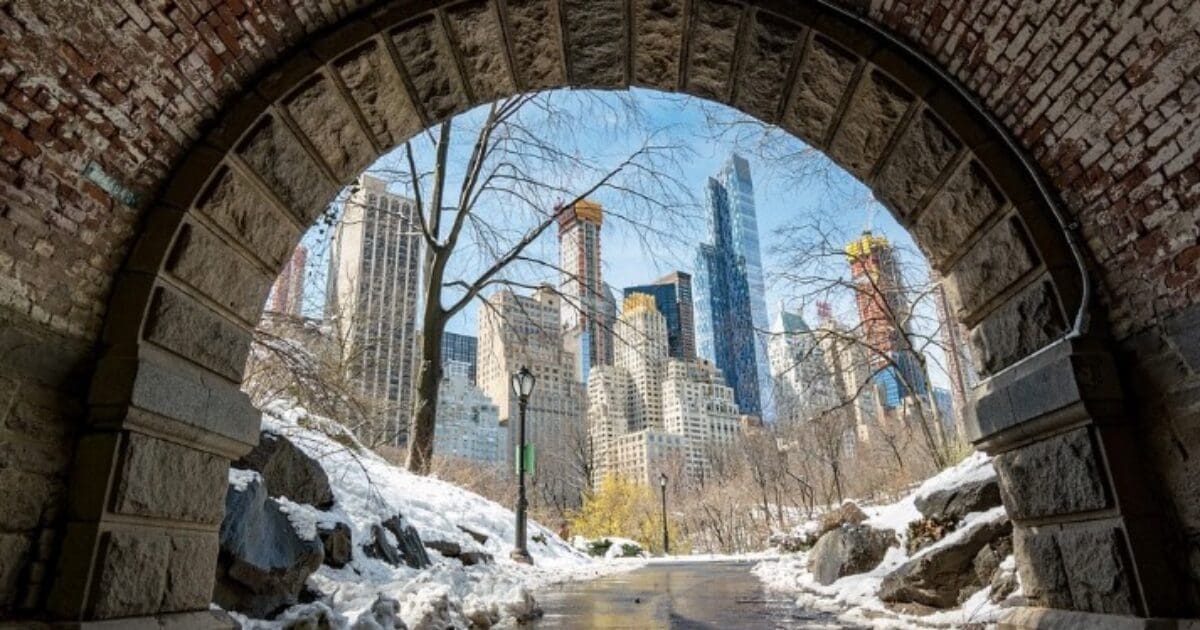 Body found hanging from tree in Central Park Liberty