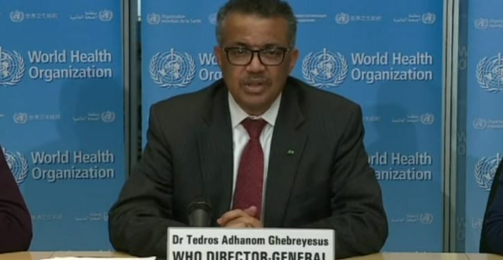 WHO To Rename Monkeypox After Allegations Name Is Racist