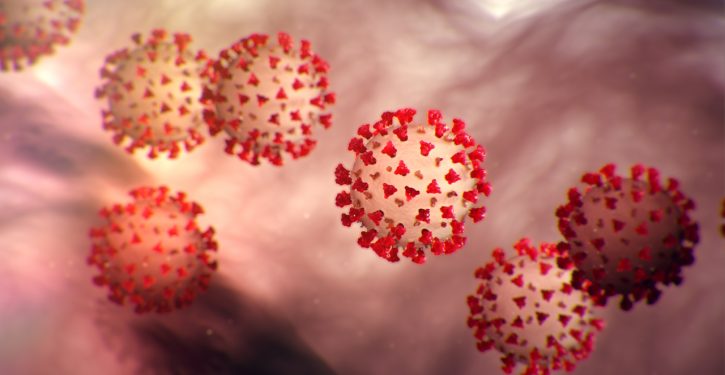 Why we didn’t have coronavirus testing in February