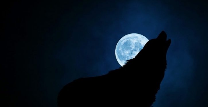 Forced utopianism: Awakening the ‘werewolf’