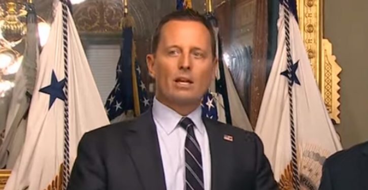 Richard Grenell claims ‘she’ will be ‘shadow president’ — and he does not mean Kamala