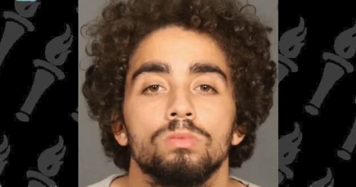 NYPD officers arrest BLMer for cutting brake line of police van parked