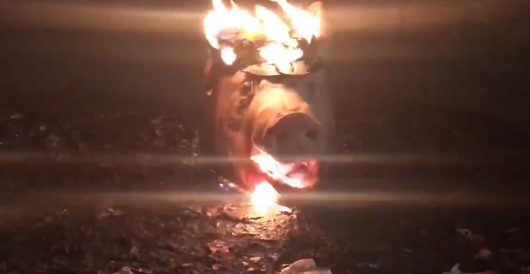 Bonfire of the sanities: BLM/Antifa burn Bibles, U.S. flags in Portland, scream ‘f*ck Trump’ by Joe Newby