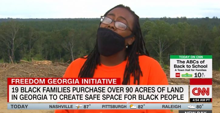 19 families buy nearly 97 acres of land in Ga. to create a city safe for black people