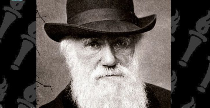 Natural History Museum to review potentially ‘offensive’ Charles Darwin collection