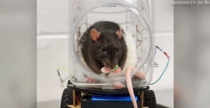 U. Pitt researchers find antibody component that ‘neutralizes’ virus causing COVID-19