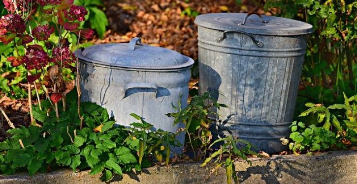 Pollster Jim Lee: We need to crack down on garbage polling, race actually dead heat