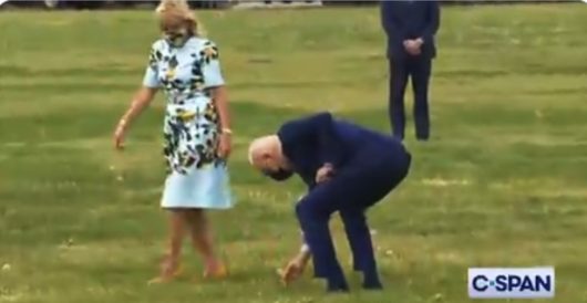Biden picks dandelion for Dr. Jill on White House lawn by J.E. Dyer