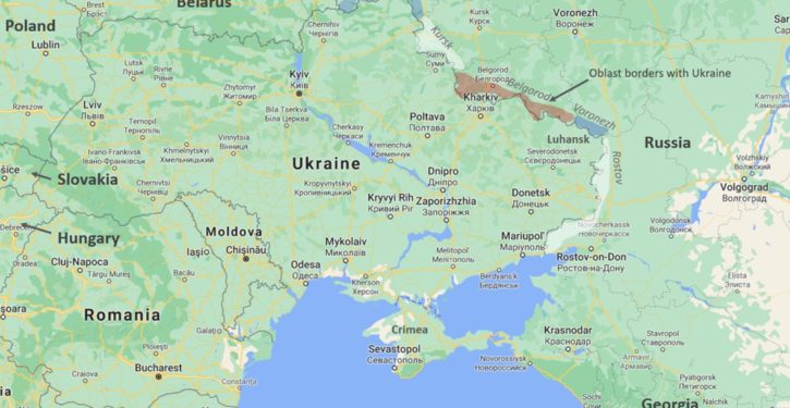 One Large Sea Creature Keeps Washing Up Dead On Shore. Russian Warships May Be Responsible