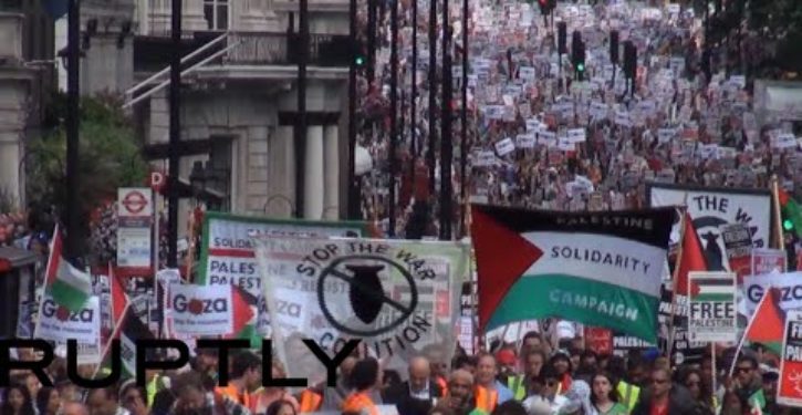 ‘Free Palestine’ demonstrators block traffic in Los Angeles: ‘Long live intifada’