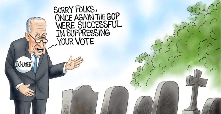 There is no good reason you should have to be a citizen to vote