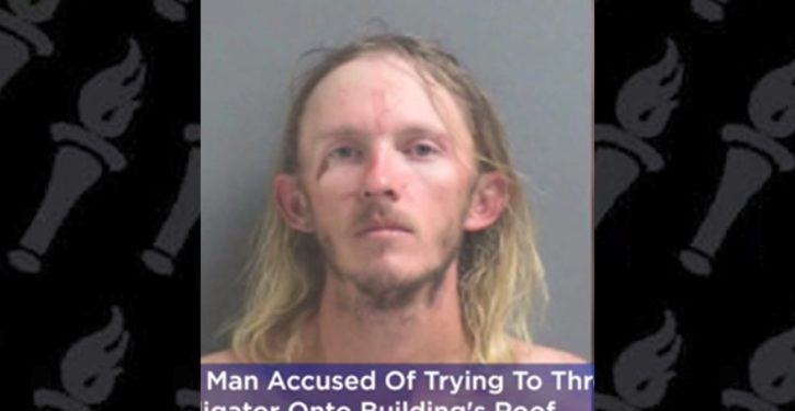 Florida man arrested while trying to ‘teach’ alligator ‘a lesson’
