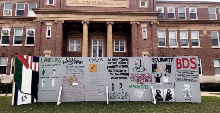 Anti-Semitism now has ‘academic mandate’