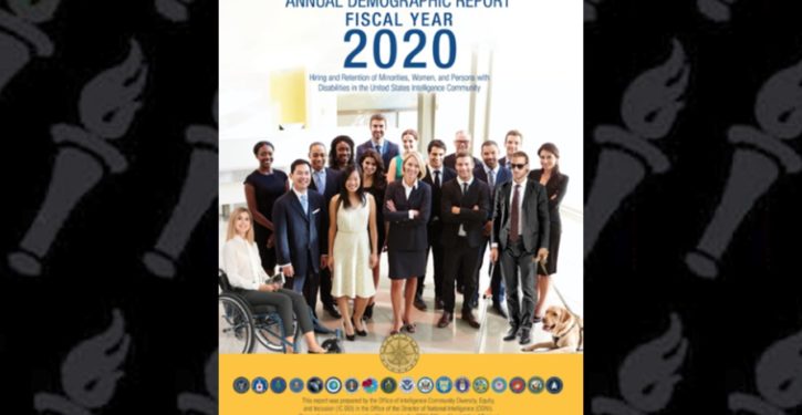 ODNI issues annual IC demographics report full of stock commercial images