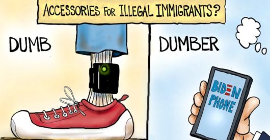 Cartoon of the Day – Common Sense Not Included by A. F. Branco