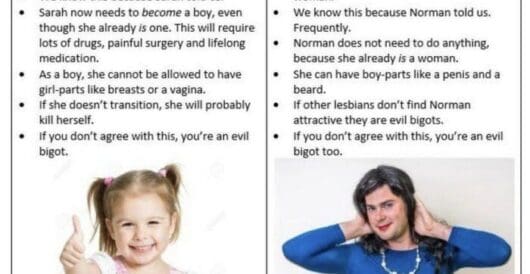 Transgender ideology, illustrated by LU Staff