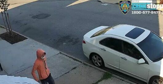 NYC Housing Project Sees Four Shot In Broad Daylight by Daily Caller News Foundation