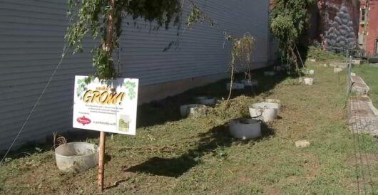 Philadelphia destroys garden worth tens of thousands of dollars, impoverishing brewery by LU Staff