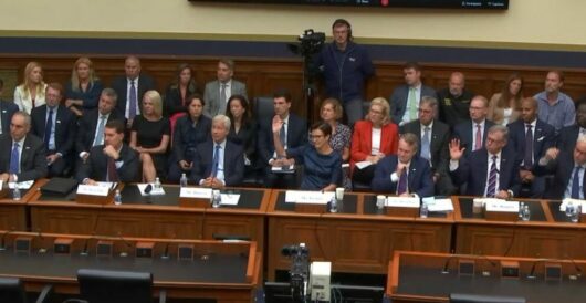 Dems Turn Hearing With Wall Street CEOs Into Diversity Struggle Session by Daily Caller News Foundation