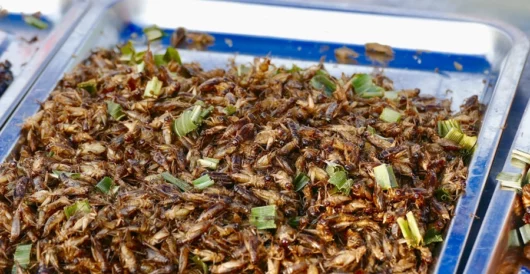 Transnational elites want you to eat bugs, as they attack cattle-raising. But some bugs are actually tasty by LU Staff