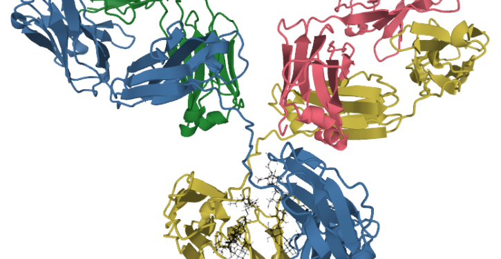Artificial intelligence is building highly effective antibodies to fight disease